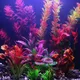 Artificial Aquarium Decor Plants Water Weeds Ornament Aquatic Fish Tank Simulation Grass Flower