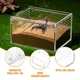 1Pc Reptile Box Breeding Tank Feeding Forterrarium Transparent Container Case Enclosure Cricket