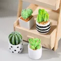 1/4Pcs 1:12 Dollhouse Miniature Plant Potted Succulent Pot Cactu Micro Landscape Model Home Garden
