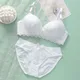 Korean Lingerie Sets Sexy Women Underwear Push Up Brassiere Panties Lace Soft Wireless Bra Sets