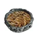 11XA Reptile Bowls Terrarium Feeding Worm Dish Reptile Mealworm Feeder Dish Resin Bowl for frog