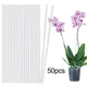 50 Sticks Acrylic Plant Stakes Orchid Flexible Durable Enhance Growth Stretchable Stable Plant