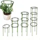 Plant Support Pile Stand climb for Flowers grow Semicircle Greenhouses Arrangement Fixing Rod Holder