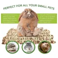 Creative Pet Straw Mat Rabbit Chew Hay Toy Hamster Kitten Puppy Portable Cage Safe Breathable Cool