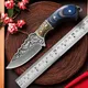 7.8 inch barbecue ， fruit knife steak knife sharp meal knife fishing，Meat cutter，kitchen knife