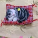 Stuffed Toys Lovely Simulation Animal Doll Plush Sleeping Cats Toy with Sound Kids Toy Decorations