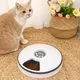 Automatic Pet Feeder Dog Cat Timed Ration 24 Hour 6 Grids Electric Dry Wet Food Smart Dispenser with