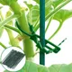 50pcs Adjustable Plastic Plant Cable Ties Reusable for Garden Supplies Tree Climbing Support Plant