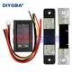 DC 0-100V 1A 10A 50A 100A Voltmeter Ammeter Amp Dual Digital Volt Meter Gauge LED display Meter