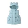 2024 Spring Baby Boys Girls Hooded Waistcoat Fashion Sleeveless Cotton-Padded Warm Vest Coat For