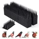 12 Bird Spikes-Outdoor Plastic Anti Cat and Bird Deterrent Pigeon Animal Defender Spikes Anti Bird