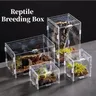 Rettile Habitat terrario scatola di allevamento custodia in acrilico Nano Arboreal tarantola