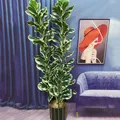 13-59in Artificial Tree Branch Tropical Ficus Plants Real Touch Banyan Leafs Fake Plants For Home