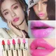 10 Colors Pink Lipstick Waterproof Matte 24 Hours Long Lasting Non-Stick Cup Red Rose Lip Tint
