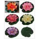 1 PCS Artificial Lotus Water Lily Floating Flower Pond Tank Plant Ornament 10cm Home Garden Pond