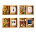 Montessori Language Materials Models of Human Ogran/ Handware Tool/ Instrument/ Flower W/ 3-Part