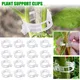 Plant Clips Supports Reusable Plastic Connects Fixing Vine Tomato Stem Grafting Vegetable Plants