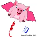 New Outdoor Fun High Quality Single Line 59Inch Cute Pig Kite For Kids /Adult Sports Beach With