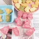 8Pcs Easter Rabbit Biscuit Mold Plastic Bunny Egg Cookie Cutter Stamp Embosser Easter Party Fondant