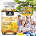 Dandelion Root Capsule Healthy Liver Kidney Digestion & Water Balance Support