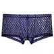 Sexy Men Boxers Panties Sheer Lattice Trunks See Through Boxer Briefs Underwear Mesh Shorts