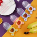 Baby Fruit and Vegetable Bite Music Food Supplement Pacifier Molar Stick Supplementary Portable