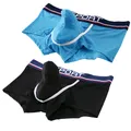 2 Pcs High quality Underwear Briefs mesh Ice silk Mesh Breathable Underpants Men Boxer Shorts Sexy