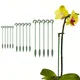 5 Pcs Stem Plant Support Ring for Orchid Amaryllis Tomatoes Green Garden Plant Stakes Plant Sticks