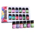 12 Bottle/Box Essential Oil Set Defuse Essential Oils Water-Soluble Natural Aromatherapy Essential
