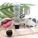 Makeup Clear Lip Gloss Liquid Lipstick Kit Nutritious Lips Protect Tube Lip Lipgloss Winter