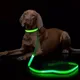 LED Light Up Dog Leash Luminous Rope Lead Leash For Dog Safety Flashing Glowing Dog Collar Harness