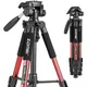 Zomei Professional Portable Travel Aluminum Camera Floor Tripod Stand & Pan Head for Phone DSLR