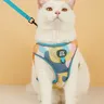 New Arrives Adjustable Soft Mesh With Fashionable Design Pet Harness And Leash Set
