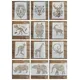 A4 29 * 21cm DIY Stencils Wall Painting Scrapbook Coloring Embossing Album Decorative Paper Card