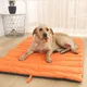 Portable Pet Mat Cat and Dog Mat Outdoor Waterproof Dog Beds for with Storage Carry Bag Outdoor