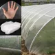 Garden Plant Vegetables Insect Protection Net Garden Fruit Care Cover Flowers Protective Net