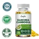 Garcinia Cambogia Capsules Fat Burning&Cellulite Burner Detox Weight Loss Mood Sleep Quality