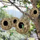 Birds Nest Bird Cage Grass Spherical Hummingbird Nest Outdoor Decorative Weaved Hanging Bird Nest