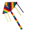 New Design Rainbow Kite Fashion Easy Flying Long Tail Kites with line Flying Toys Kite for