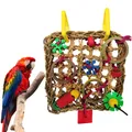 Colorful Hanging Parrot Bird Molar Toy Articles Parrot Bite Pet Bird Toy for Parrot Training Bird