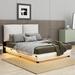 Wrought Studio™ Upholstered Platform Bed w/ Sensor Light & Ergonomic Design Backrests Upholstered in White | 41.6 H x 62.3 W x 80 D in | Wayfair
