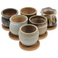 6pcs Practical Succulent Pots Household Planter Pots Flowerpot For Succulents Ceramic Plant Pots