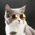 Cat Sunglasses Dog Glasses Classic Retro Circular Sunglasses Cool Pet Costume Accessory