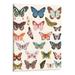 Nawypu Vintage Colorful Butterfly Nursery Canvas Wall Art - Boho Nature Insect Artwork Butterflies Posters - Cute Butterfly Picture Print Wall Decor for Girls Kids Bedroom Playroom 16x20in