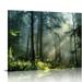 ARISTURING Nature Wall Art Tree Wall Art Forest Decor Canvas Wall Art For Living Room Decor Aesthetic Vintage Posters & Prints Bedroom Wall Art Home Wall Decor Classroom Posters Shelf