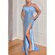 Mermaid / Trumpet Prom Dresses Sparkle Dress Prom Birthday Sweep / Brush Train Sleeveless Strapless Sequined with Feather Sequin Slit blue wedding guest dress 2024