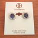 Giani Bernini Jewelry | Giani Bernini Sterling Silver Earrings | Color: Blue/Silver | Size: Os