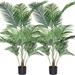 Primrue 55.2" Faux Palm Plant in Pot Plastic | 55.2 H x 6 W x 6 D in | Wayfair 922CE27181A34A72BB63629A3CC35A67