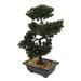 Simulation Welcome Pine Large Red Ornaments Artificial Flowers Bedrooms Decor The Office Bonsai Tree Orchid Statue Man