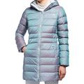 The North Face Jackets & Coats | North Face Gotham Ii Down Parka Coat S Blue Frost Iridescent | Color: Blue/Purple | Size: S